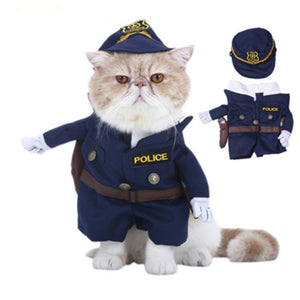 Funny Pet Costumes Cat