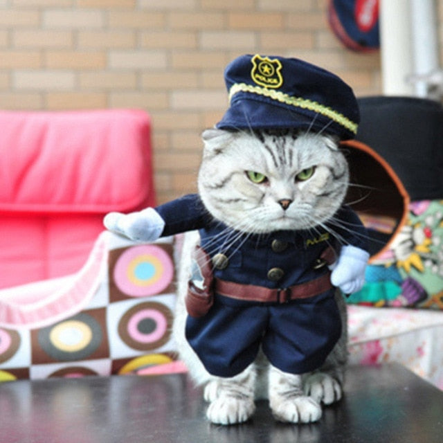 Funny Pet Costumes Cat