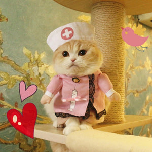 Funny Pet Costumes Cat