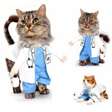 Load image into Gallery viewer, Funny Pet Costumes Cat