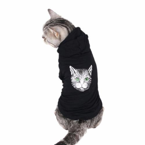 Traumdeutung Cats Clothes Pets