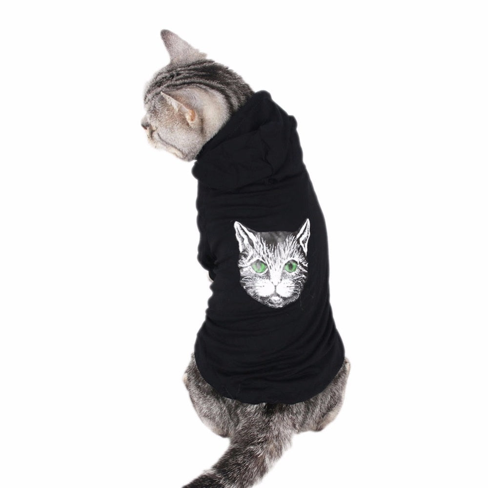 Traumdeutung Cats Clothes Pets