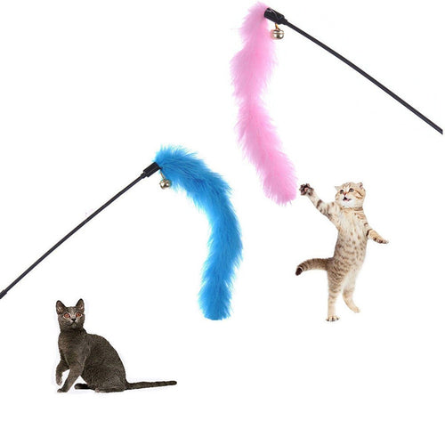 Premium Pet Interactive Toy