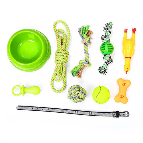 Squeaky Pet Dog Toy Set